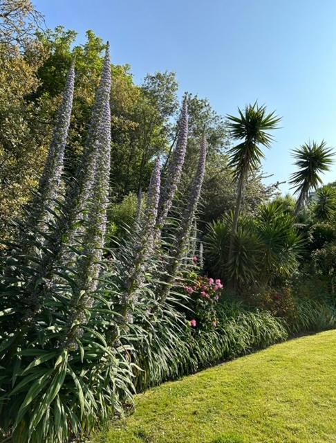 Westhill Country Hotel Saint Helier Bagian luar foto